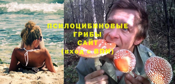 Альфа ПВП Арсеньев